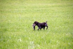 IMG_5039.jpg
