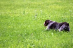 IMG_5112.jpg
