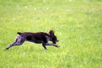 IMG_5113.jpg
