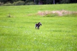 IMG_5118.jpg