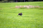 IMG_5119.jpg