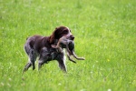 IMG_5124.jpg