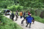 IMG_5128.jpg