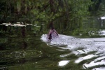 IMG_5166.jpg