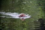 IMG_5198.jpg
