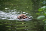 IMG_5199.jpg