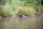 IMG_5239.jpg
