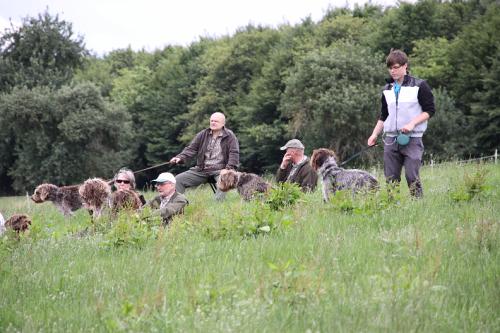 2011_06_25_038.JPG