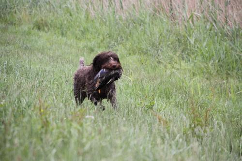2011_06_25_044.JPG