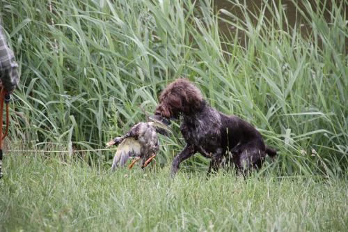 2011_06_25_065.JPG