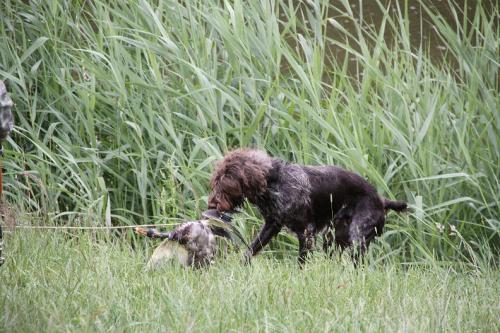 2011_06_25_066.JPG