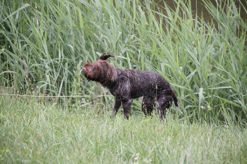 2011_06_25_068.JPG