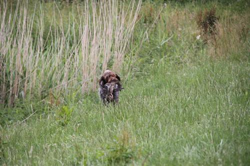 2011_06_25_106.JPG