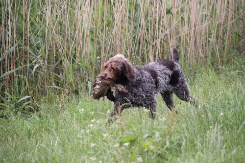 2011_06_25_108.JPG