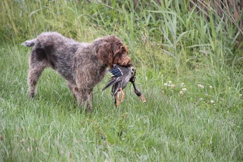 2011_06_25_149.JPG