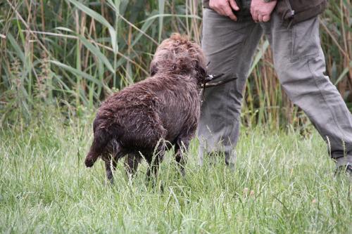 2011_06_25_263.JPG