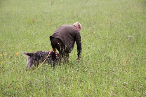 2011_06_25_365.JPG