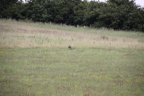 2011_06_25_373.JPG