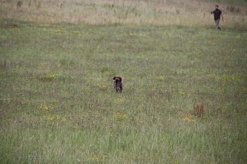 2011_06_25_374.JPG