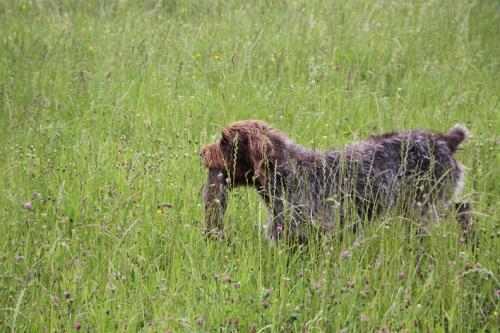 2011_06_25_378.JPG