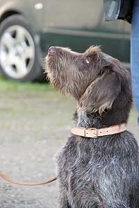 20080426-005.jpg