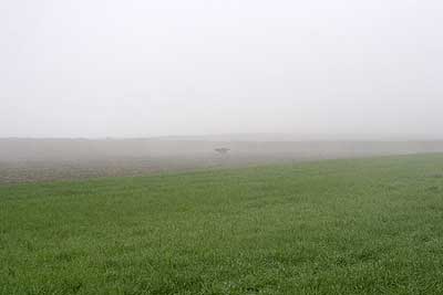 20080426-033.jpg