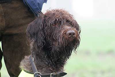 20080426-048.jpg