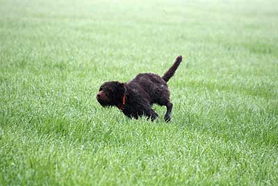 20080426-084.jpg