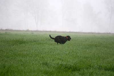 20080426-091.jpg
