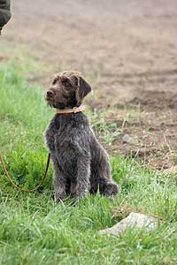 20080426-147.jpg