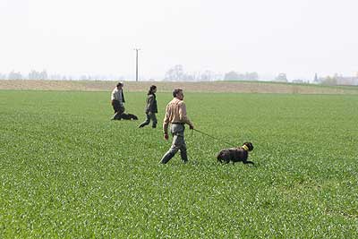20080426-153.jpg