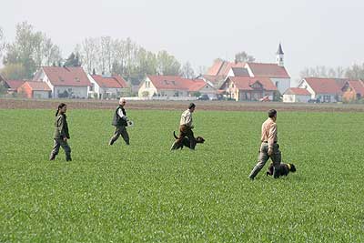 20080426-156.jpg