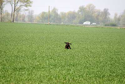 20080426-158.jpg