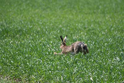 20080426-169.jpg