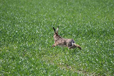 20080426-170.jpg