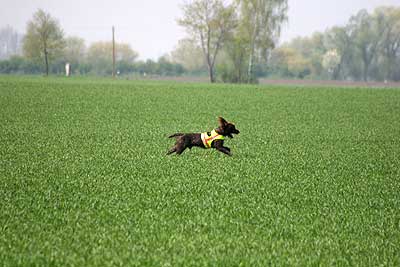 20080426-182.jpg