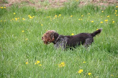 20080426-211.jpg