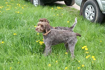 20080426-212.jpg