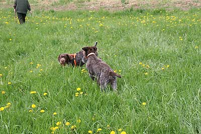 20080426-215.jpg