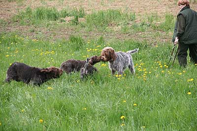 20080426-217.jpg