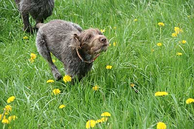 20080426-220.jpg