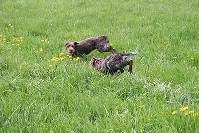 20080426-221.jpg