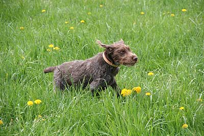 20080426-225.jpg