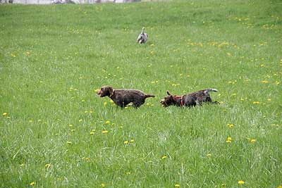 20080426-229.jpg