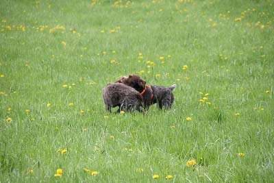 20080426-230.jpg